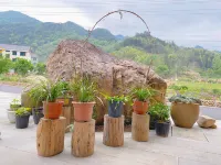 Lishui Lingxi Xiaoshe Inn 구옌화상 관광지구 호텔