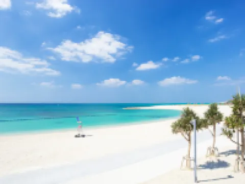 Mr.Kinjo in Tomigusuku Hotels in Tomigusuku