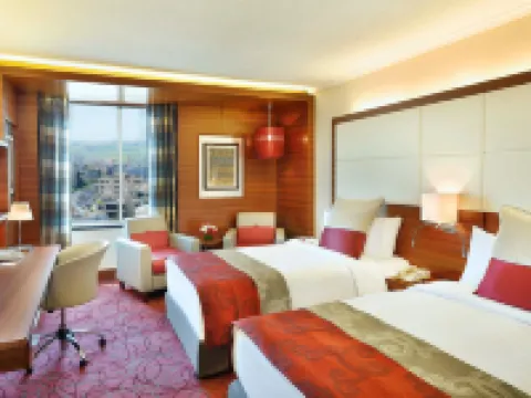 크라운 플라자 암만 바이 IHG 암만 호텔