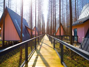 Dongtai Huanghai Forest Park Cabin Cluster
