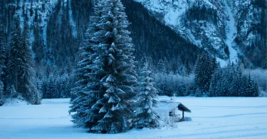 MonaYongPyong - Ski Resort
