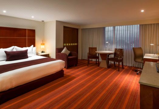 카미노 레알 에어로푸에르토의 컨퍼런스 시설