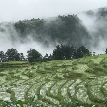 Heart of the Mountains · Jiayi Homestay