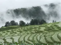 Heart of the Mountains · Jiayi Homestay - pemandangan pegunungan