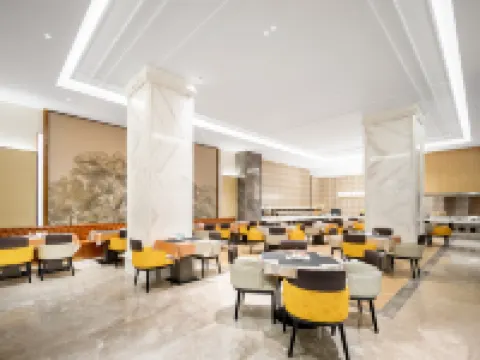 비엔나 인터내셔널 호텔 (랴오위안 푸민 스트리트 지점)