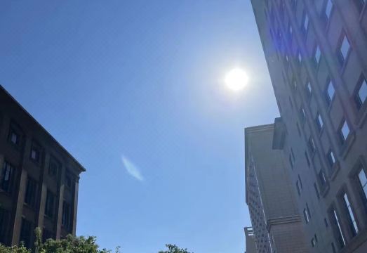 2. 주니 오리엔탈 ..