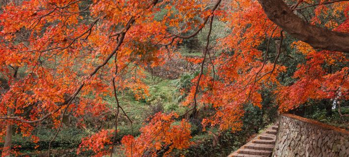 Wangshan Villa Hotels in Deqing