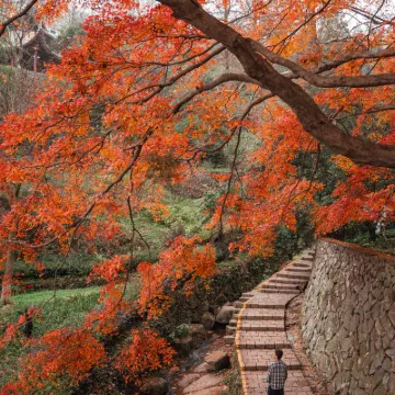 Wangshan Villa Hotels near Du Yuesheng Mansion