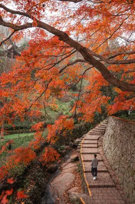 莫幹山楓鵑谷忘山別墅