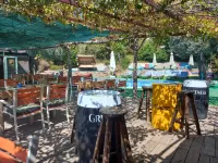 Shiva Camp