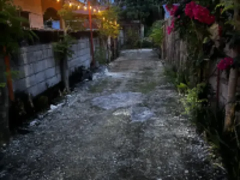 The Backyard Inn Hoteles en Moalboal