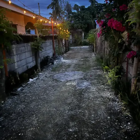 The Backyard Inn