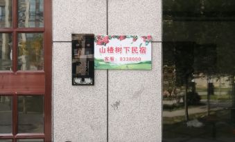 Yuanpingshan Yushuxia Homestay