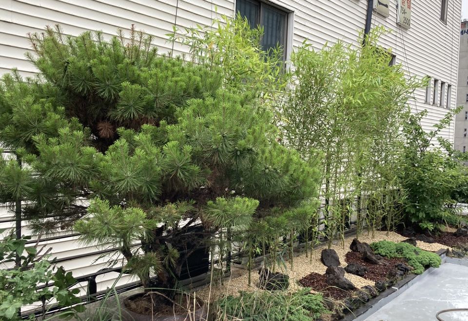 호텔 레스 객실