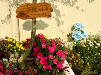 Blossom Lane Homestay · Holiday Villa (Shanghai Pudong Airport) - Villas