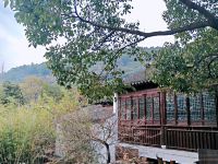 苏州玖树水月人文旅店 - 公共区域