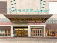 Magnolia (Business) Hotel Feicheng Xinhua Building Store - petit déjeuner