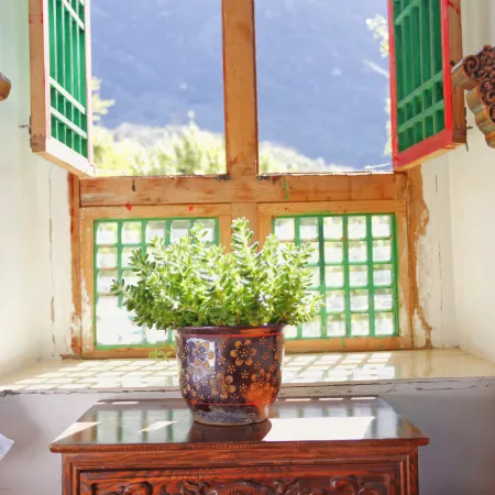 Danba Jiangji B & B