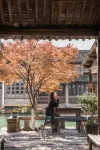 Wuzhen Xizha · Qingli Garden Homestay