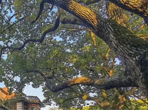 โรงแรมในอำเภอ พิชัย