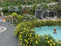 wawushan Huachen Yuexi Homestay - Rooftop Pools