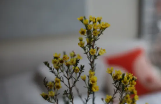 Runhua Homestay