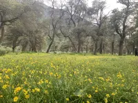Shenghu Ridge Homestay