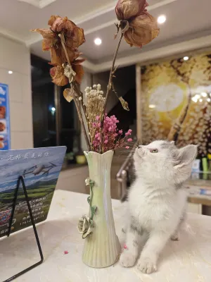 Yongxinde Shangjing Hotel Khu vực công cộng Photos