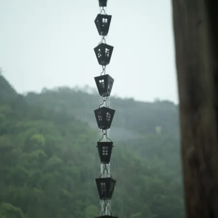 Longquan Fanruo Mountain Residence Homestay