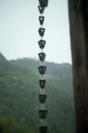 Longquan Fanruo Mountain Residence Homestay