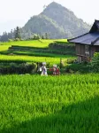 Rongshui Shishangju Homestay (Shishang Renjia Scenic Area) - Pet friendly