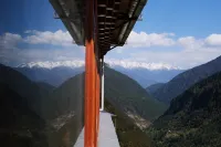 Cat in Yubeng Snow Mountain View Guesthouse