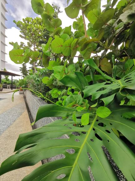 1105 Platino Paradigm Mall Netflix Johor by STAY in Johor Bahru | 2025 ...