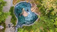 Phoenix Hot Spring Holiday Hotel - Hot Springs