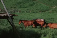 HEMU QIONGLU YOUTH HOTEL