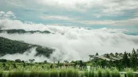 Pino Latte Resort and Hotel  호텔