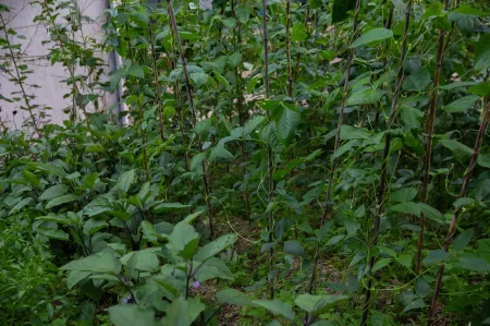 Sculpture Time Jingli Homestay Отели рядом с достопримечательностью «Pig Bajie Carrying His Wife»