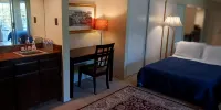Bed and Breakfast in Hollywood Hills - Suite Mit Gartenblick