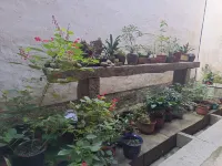 Dunyutang Homestay Hotels near Huangtian Scenic Spot of Jing County