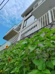 Moganshan  Flower path Homestay