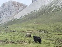 Zhuoni Herdsmen Tribe Homestay