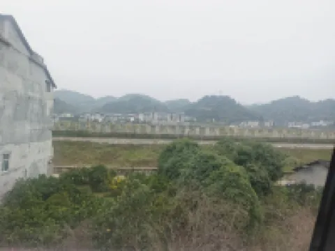 No.1 Yard of Liye Qin Slips