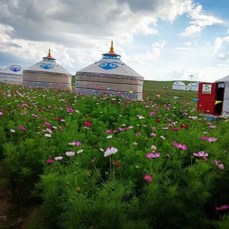 Damao Banner Talin Eji Resort (Xilamuren)