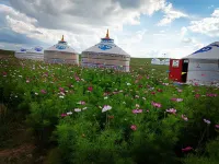 Damao Banner Talin Eji Resort (Xilamuren)