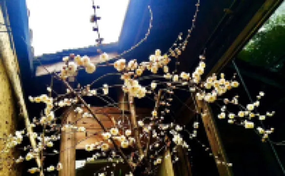 Mingkeli Culture Hostel