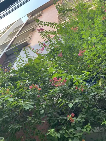 Palm Tree Chinese Hotel Отели рядом с достопримечательностью «Даккский университет»