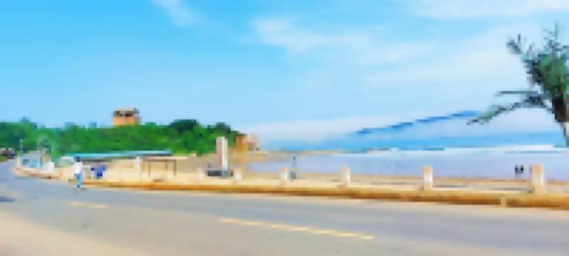 dongdongyujia