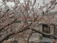 Qingdao Qishe Songjian homestay Hotel in zona Fengdong Stone