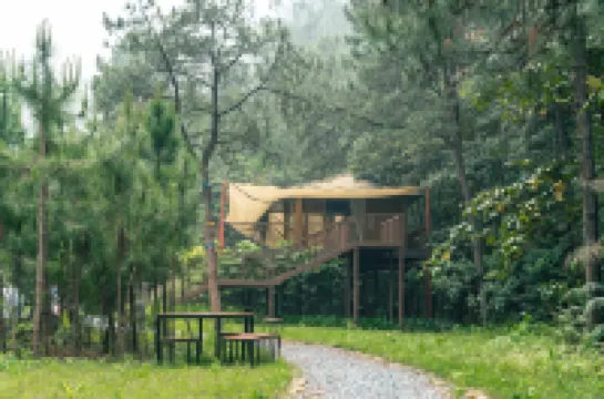 清遠融創由心谷溪谷祕境酒店（古龍峽店） 鄰近古龍峽雲天玻霸的酒店