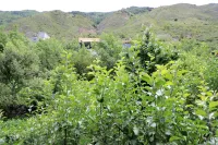 Banshanju Homestay Các khách sạn ở Tiểu Kim